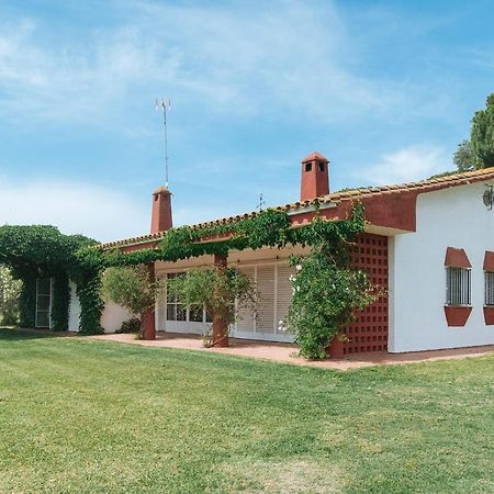 Aznalcázar La Casita De Hato Pinos, Un Rincon En Donana מראה חיצוני תמונה