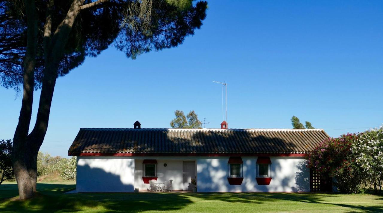 Aznalcázar La Casita De Hato Pinos, Un Rincon En Donana מראה חיצוני תמונה