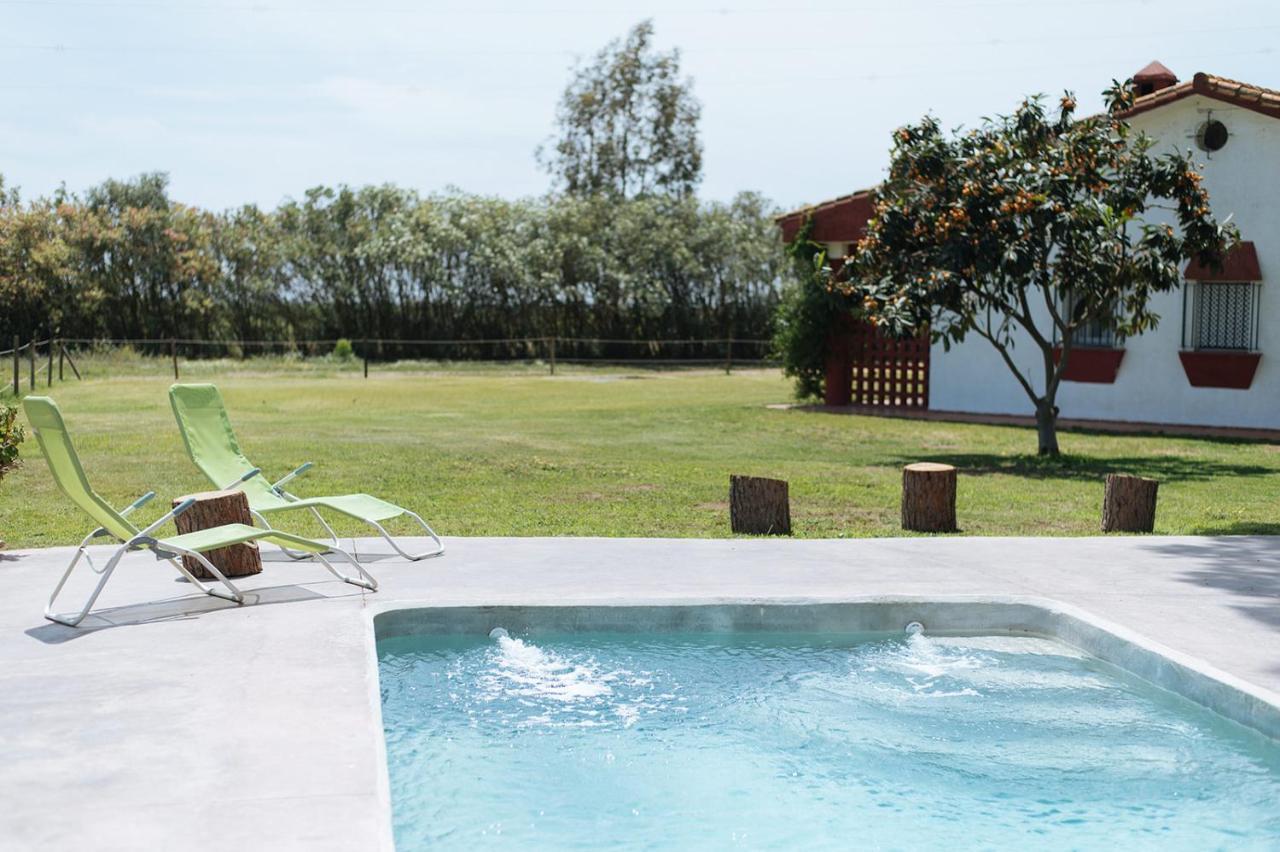 Aznalcázar La Casita De Hato Pinos, Un Rincon En Donana מראה חיצוני תמונה