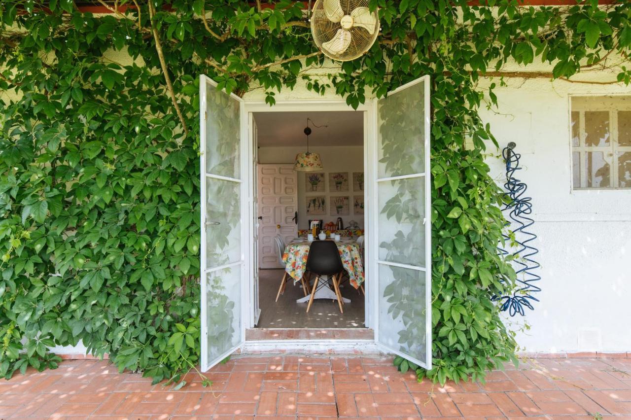 Aznalcázar La Casita De Hato Pinos, Un Rincon En Donana מראה חיצוני תמונה